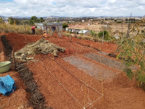 Agriculture image 22